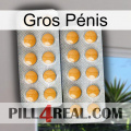 Gros Pénis levitra2